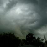 Cambiamenti climatici: Per Zaia è importante la valorizzazione delle produzioni locali