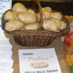 E' nata l'Associazione per la promozione, tutela e valorizzazione dell'antica Patata Piatlina e della Patata Ciarda della Valla Grana (CN)