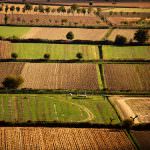 Agricoltura, PIL positivo ma pesano costi elevati