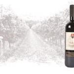 E' nato il Rosso dell'Arnasa del Castello di Roncade