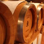 Itinerario in Garda Classico tra i "Profumi di Mosto" con i "Rossi della Valtènesi"