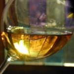 E' un Soave il miglior vino bianco d'Italia secondo il Decanter World Wine Awards