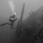 Calabria: Necessaria una verifica urgente sullo stato di salute del mare