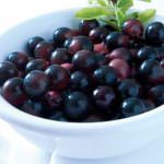 Acai Berry è stato il tormentone del 2009, Mona Vie lo sarà per il 2010?