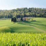 IX Forum Internazionale dell'Agricoltura e dell'Alimentazione