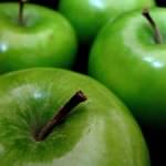 Friuli Venezia Giulia: La produzione di mele nel 2009 si attesta attorno ai 600 mila quintali