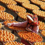 Cia: Maggiori diritti e potere alle donne agricoltrici