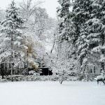 Bambini: quelli nati in inverno hanno vita più lunga