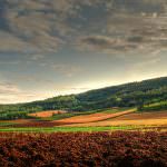 Una nuova legge per il rilancio dell'agroalimentare