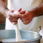 Presentata la guida ai prodotti agroalimentari della Puglia