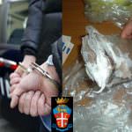 ITALIA A TAVOLA 2009, VI° RAPPORTO SULLA SICUREZZA ALIMENTARE (parte 2/10)