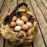 Bologna - Continua l'appuntamento del sabato mattina con il Mercato della Terra