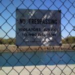 ITALIA A TAVOLA 2009, VI° RAPPORTO SULLA SICUREZZA ALIMENTARE (parte 5/10)