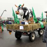 Latte: Coldiretti, presidio allevatori esteso a Summit Italo Francese