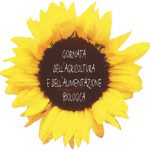 Firenze: Decima "Biodomenica"