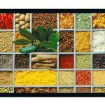 2050 - La sfida alimentare in Africa