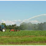 Agricoltura: Il Piano per la tutela delle acque penalizza il settore