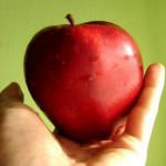 Il cibo biologico resiste alla crisi