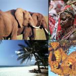 LVIA: Acqua per il Kenya