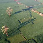 Italia - Egitto. Passi concreti verso una maggiore cooperazione