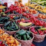 La spesa in campagna: si risparmia oltre il 30 per cento