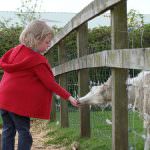 "Agricoltura in città" - Manifestazione promossa dall'assessorato all'Agricoltura della Regione Lazio