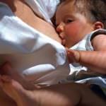 Il latte materno è una miniera di staminali per il bambino