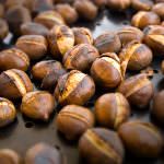 Bologna: Il Mercato della Terra festeggia l'autunno con il vino novello e le caldarroste!