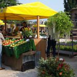 Cresce l'affluenza a "Biodomenica 2009"