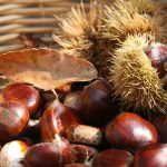 Tre appuntamenti tra cucina e cultura nel piacentino