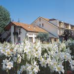 CocoFungo da Barbesin di Castelfranco Veneto