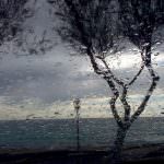 Il maltempo compromette raccolti e trebbiature