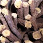 Liquirizia: mangiata in gravidanza danneggia il bambino