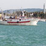 Bio e Mare: nasce in Toscana la coop di pesca rosa