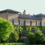 "Vini di Vigna al Castello" nell'Oltrepò Pavese, al Castello di San Gaudenzio