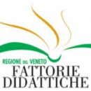 Week end a Venezia con le “Fattorie didattiche”