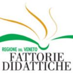 Week end a Venezia con le "Fattorie didattiche"