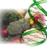 Ecco G-diet, la dieta a misura di DNA