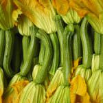 Friuli Venezia Giulia: Al via le visite di confronto sulle varietà dello zucchino