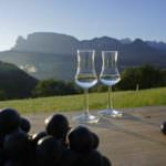 Grapperie Aperte: Una giornata tra i distillatori per un rilancio del consumo responsabile