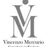 Affidato a Vincenzo Mercurio il corso "I difetti del vino, Vinidea srl e Intelli'oeno"