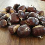 Tacchino ripieno alla frutta