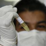 Italia, Fazio: "Influenza A, allarme sopravvalutato"