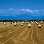 Agricoltura: Galan, bisogna saper distinguere tra "le emergenze, le pressioni e le vere priorità"