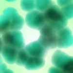 Virus H1N1, individuato un nuovo ceppo