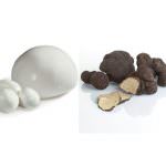 Enogastronomia: mozzarella e tartufo, un matrimonio fra eccellenze