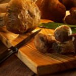 CocoFungo 2009 al Ristorante Hotel Terme di Vittorio Veneto