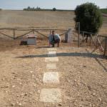 Montalcino (SI): Al Casato Prime Donne i vigneti del Brunello diventano lo scenario per una mostra d'arte permanente