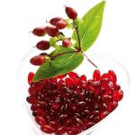 A Milano Food Week approda I LOVE COOKING