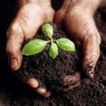 Ue: Il futuro della Pac è indissolubilmente legato al territorio